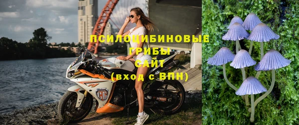 гидра Магас