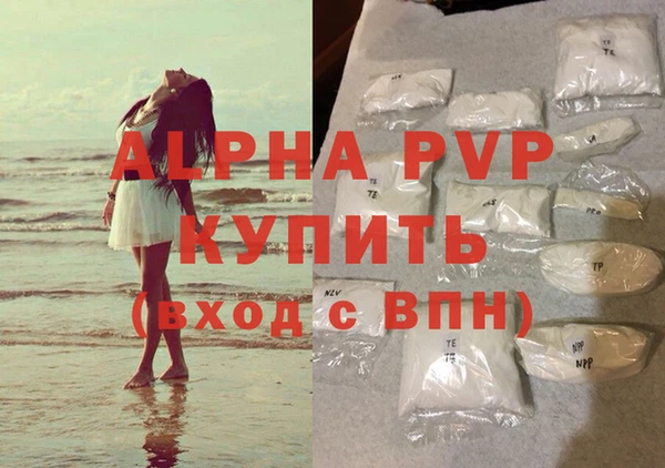 гидра Магас