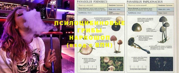 альфа пвп VHQ Майский