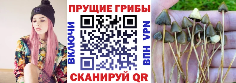 Псилоцибиновые грибы MAGIC MUSHROOMS  MEGA зеркало  Лысково  где найти  